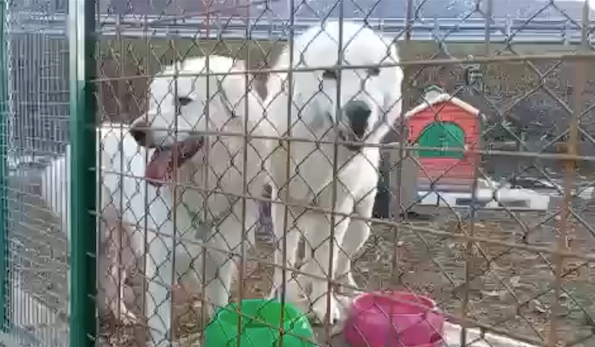 Schermata 2022 01 13 alle 08.40.21