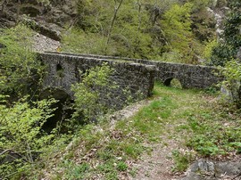 ponte velina