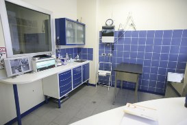 ambulatorio veterinario