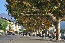 ascona lungolago
