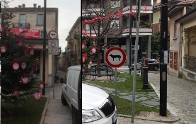 cane cartello cavour