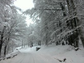 neve piancavallo 2016
