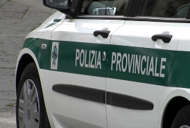 pol provinciale