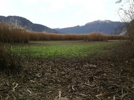 canneto fondotoce gennaio 16