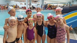 Ssd Insubrika a Sesto Calende