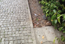 tombini sporchi tonazzi