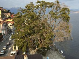 canforo ghiffa potato