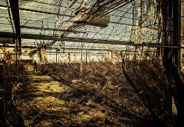 serra generica vuota