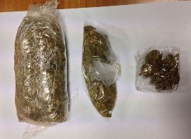 marijuana vb profugo