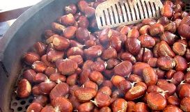 castagne generico