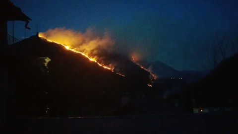 inc apr 17 cannobina