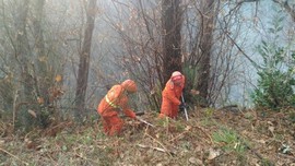 trarego incendio cinque