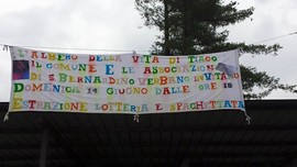 albero tiago s b verbano 2015