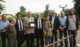 formica oro filipetto