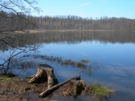 lagoni mercurago generico