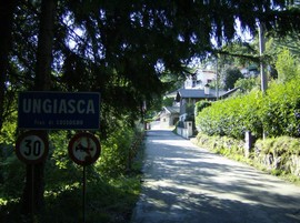 ungiasca generica