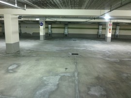 rosmini parL salnitro