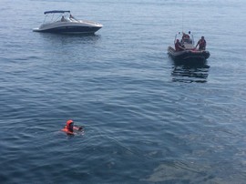 disperso intra profugo