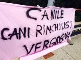 striscione canile verbania