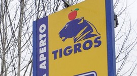 tigros logo generico