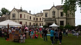 castello dal pozzo d annone